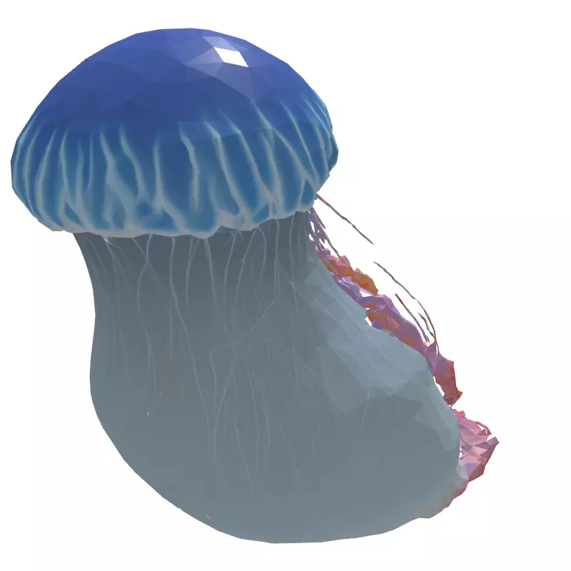 Realistic Animated Jellyfish 3D Model Low-poly 3D model_6