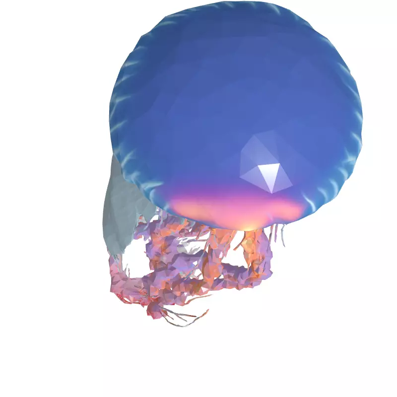 Realistic Animated Jellyfish 3D Model Low-poly 3D model_8