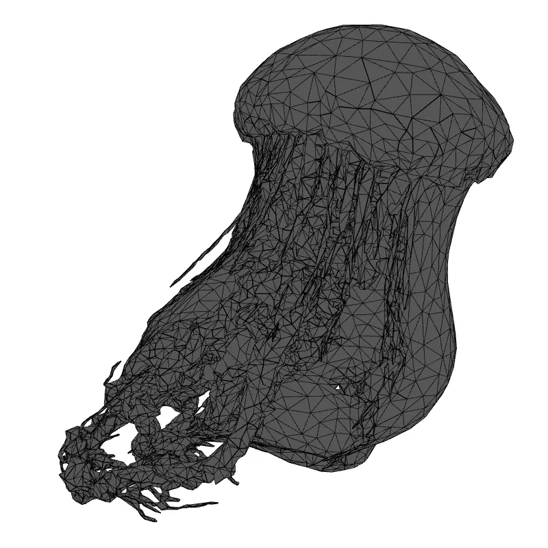 Realistic Animated Jellyfish 3D Model Low-poly 3D model_9