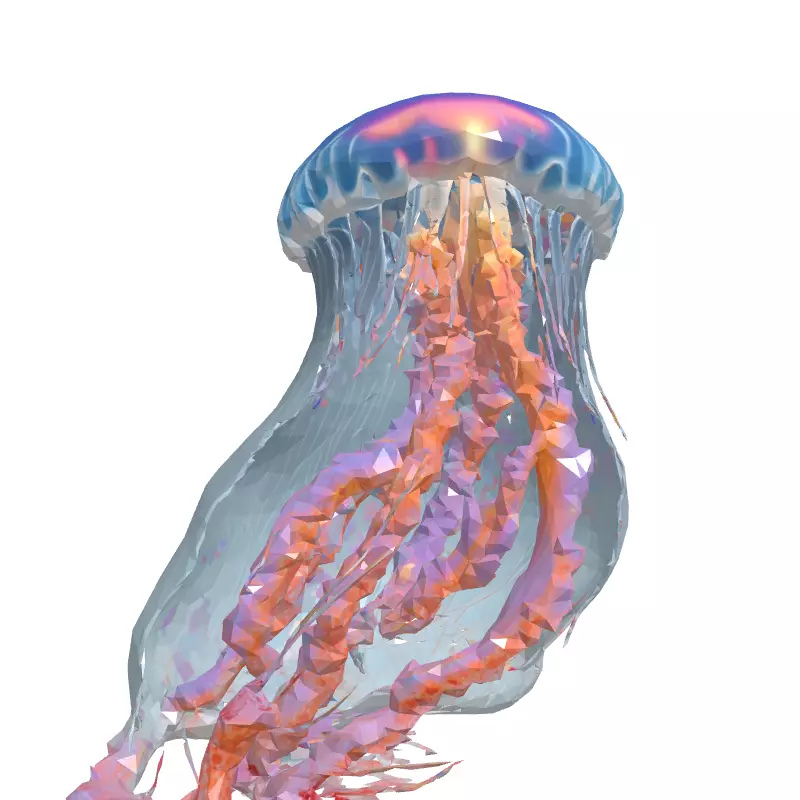 Realistic Animated Jellyfish 3D Model Low-poly 3D model_4