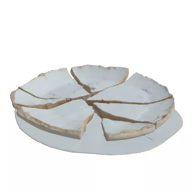 Realistic Broken Plate 3D Model Low-poly 3D model_3