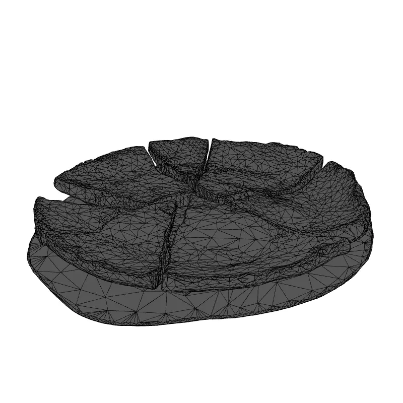 Realistic Broken Plate 3D Model Low-poly 3D model_9