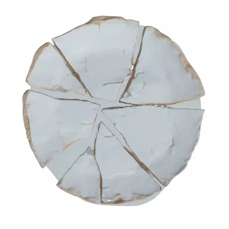 Realistic Broken Plate 3D Model Low-poly 3D model_8