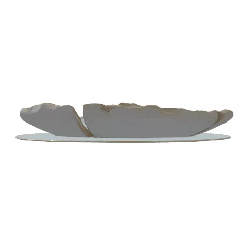 Realistic Broken Plate 3D Model Low-poly 3D model_7
