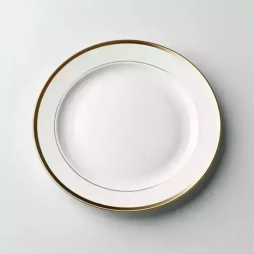 Elegant White Plate with Gold Rim