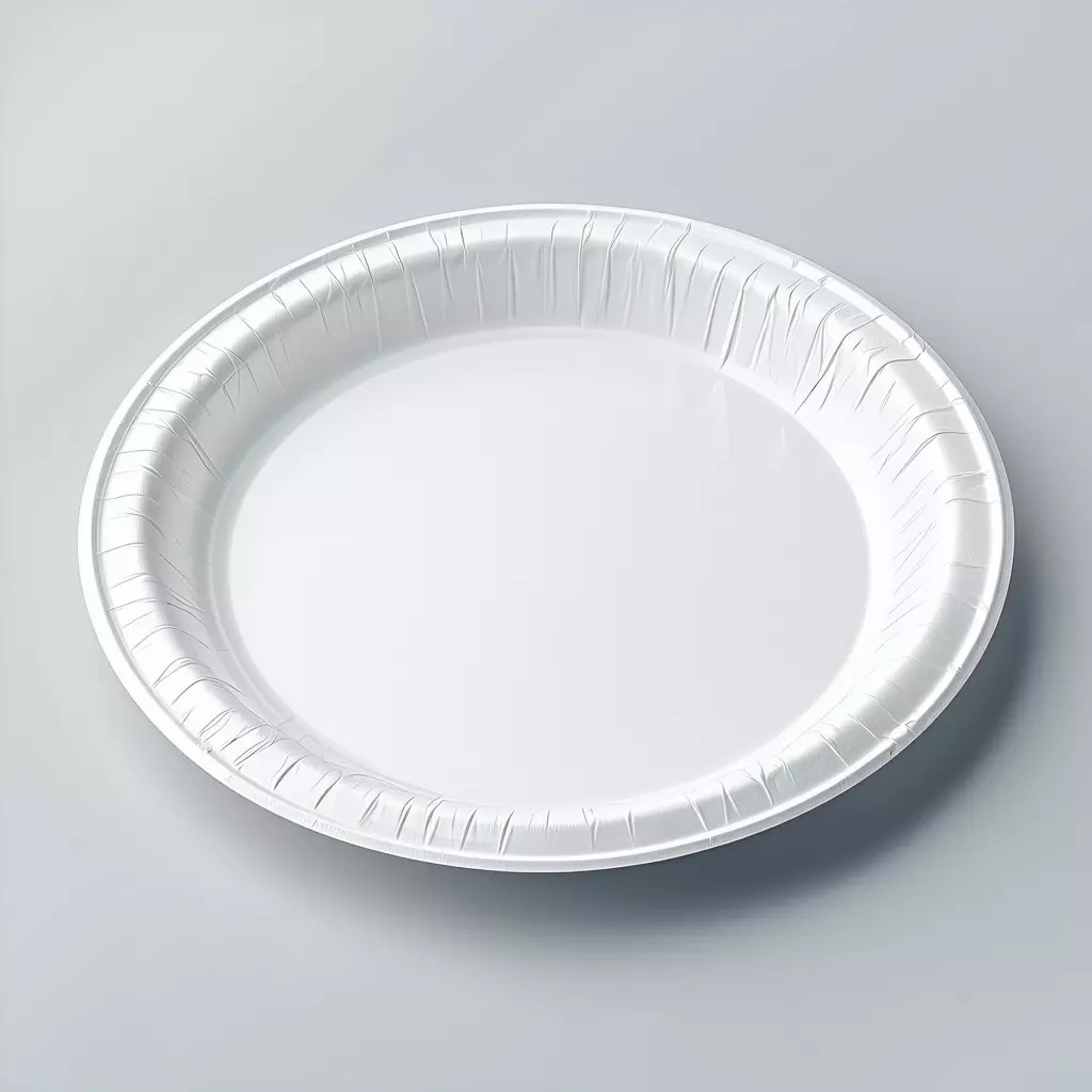 Realistic White Disposable Plate Model Low-poly 3D model_0