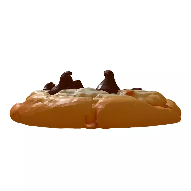 Realistic Chocolate Chip Cookie 3D Model Low-poly 3D model_7