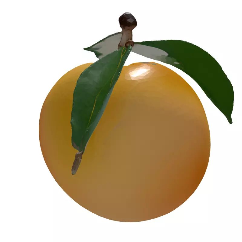 Realistic Ripe Peach 3D Model Low-poly 3D model_6