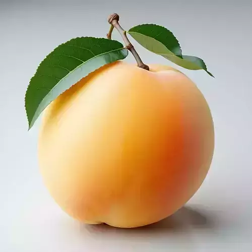 Realistic Ripe Peach 3D Model Low-poly 3D model
