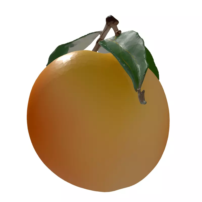 Realistic Ripe Peach 3D Model Low-poly 3D model_7