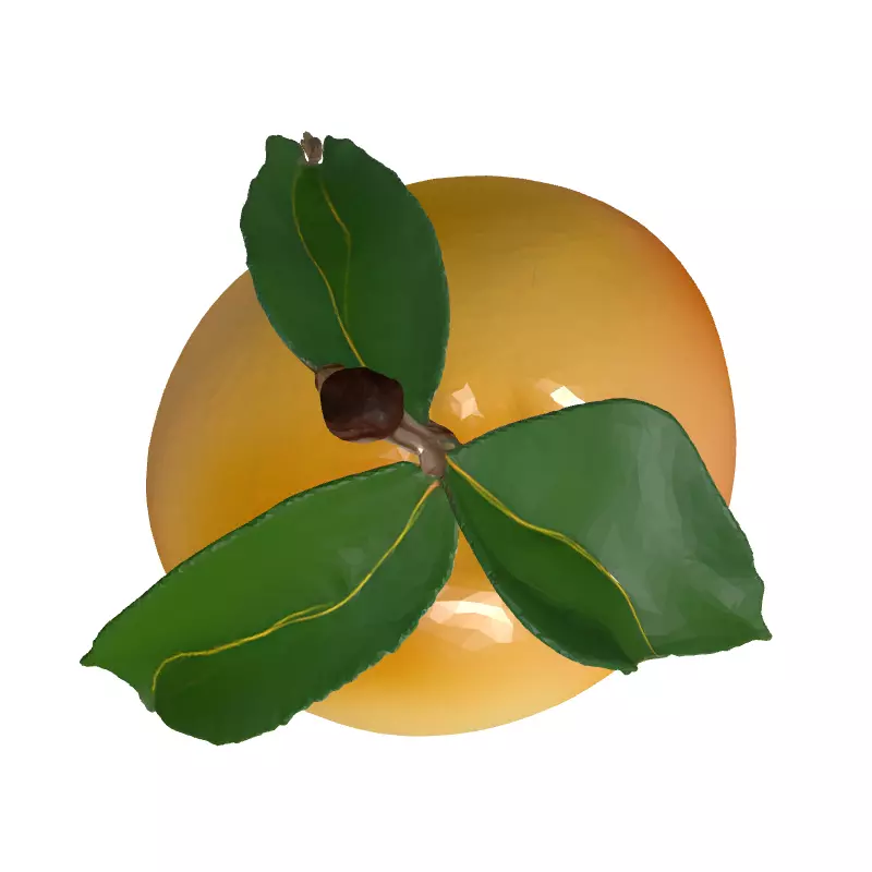 Realistic Ripe Peach 3D Model Low-poly 3D model_8
