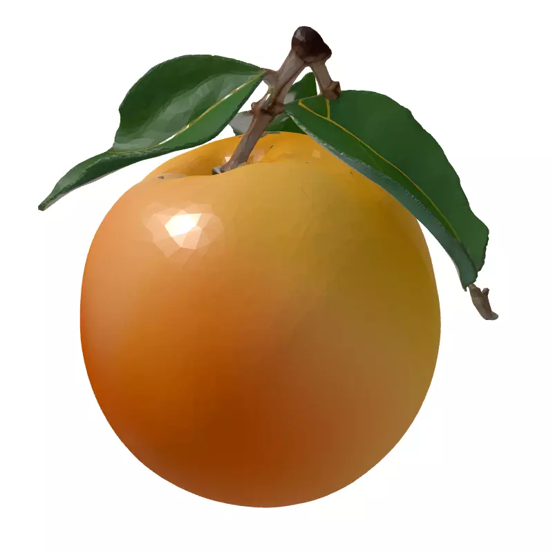 Realistic Ripe Peach 3D Model Low-poly 3D model_5