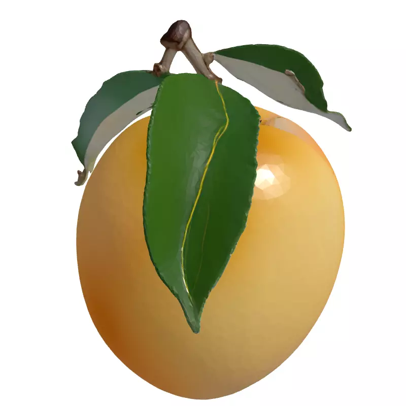 Realistic Ripe Peach 3D Model Low-poly 3D model_3