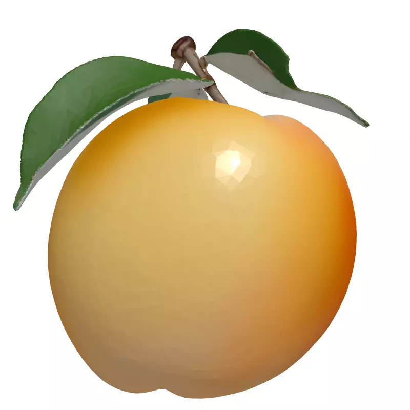 Realistic Ripe Peach 3D Model Low-poly 3D model_4