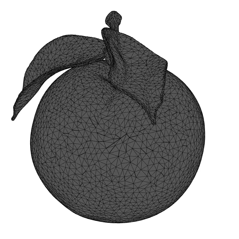 Realistic Ripe Peach 3D Model Low-poly 3D model_9