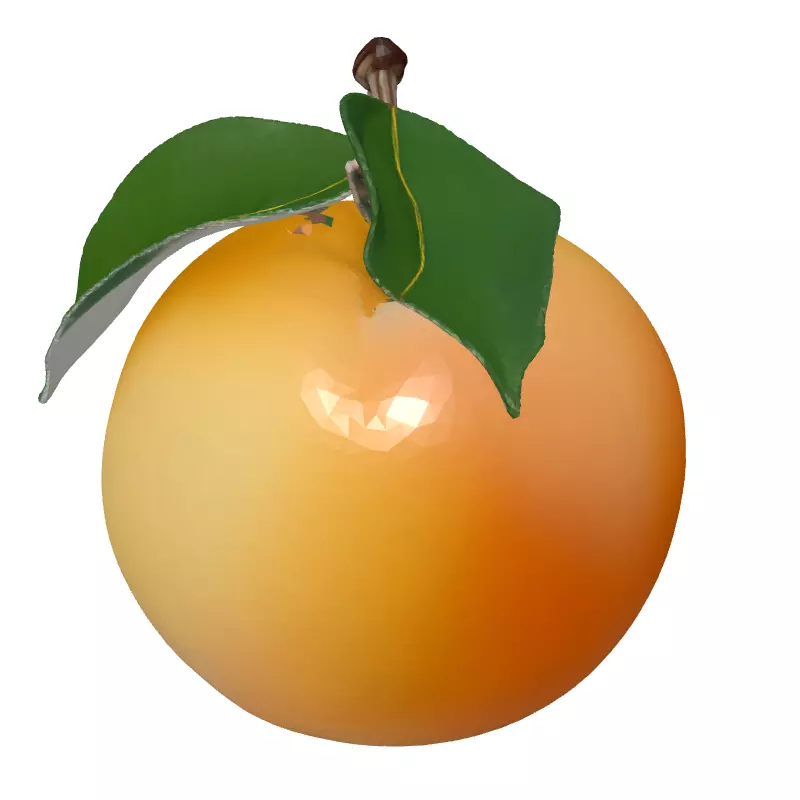 Realistic Ripe Peach 3D Model Low-poly 3D model_2
