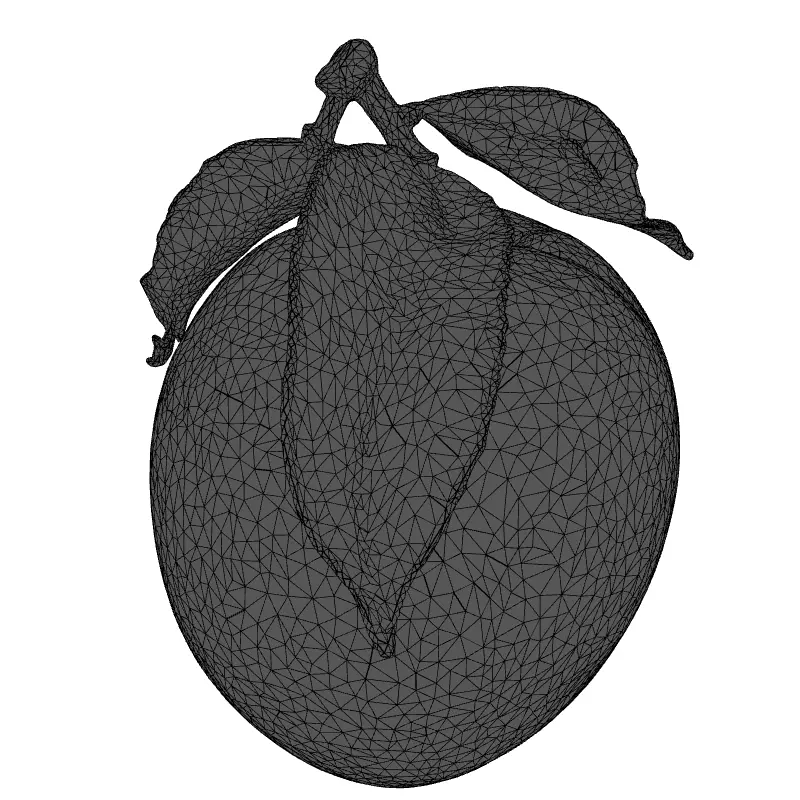 Realistic Ripe Peach 3D Model Low-poly 3D model_1