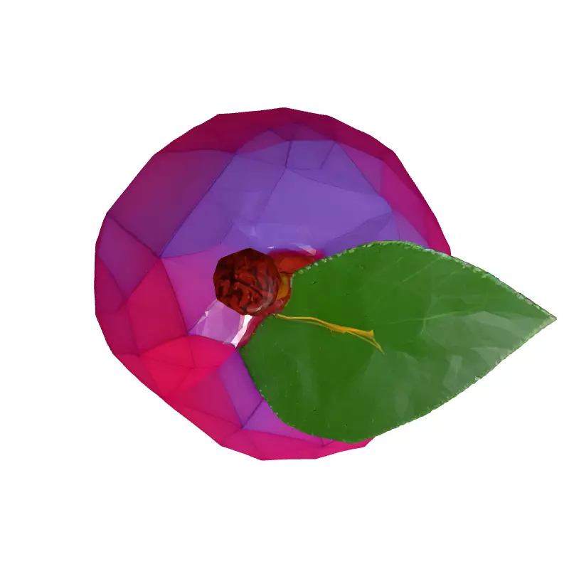 LowPoly Plum Stylized 3D Model Low-poly 3D model_8