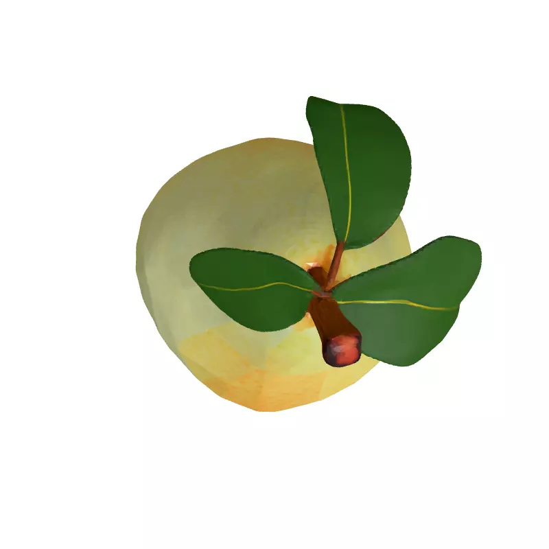 LowPoly Pear 3D Model Low-poly 3D model_8