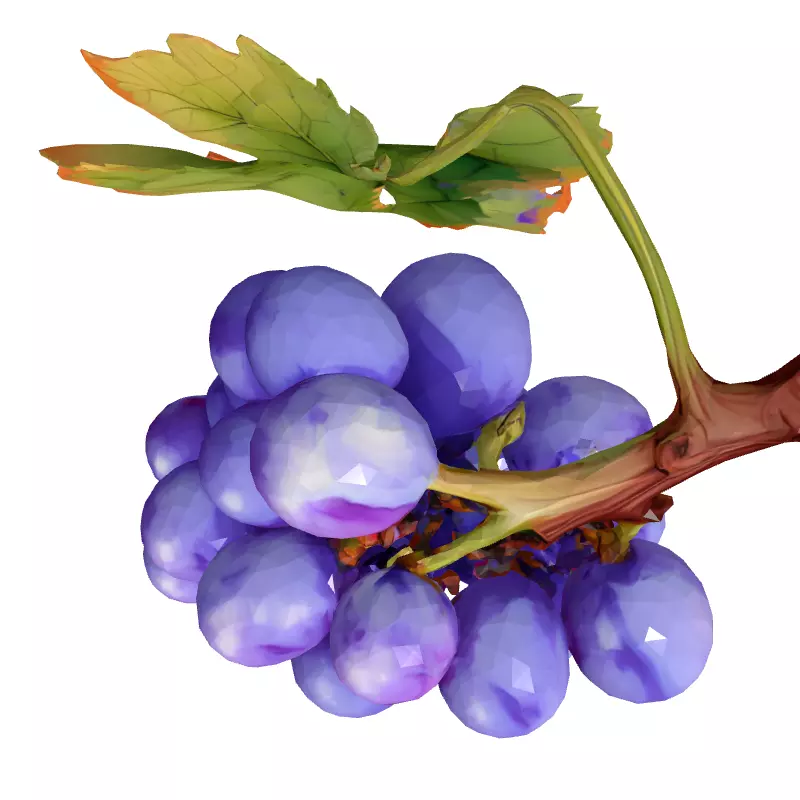 Realistic Red Grape Bunch 3D Model Low-poly 3D model_8