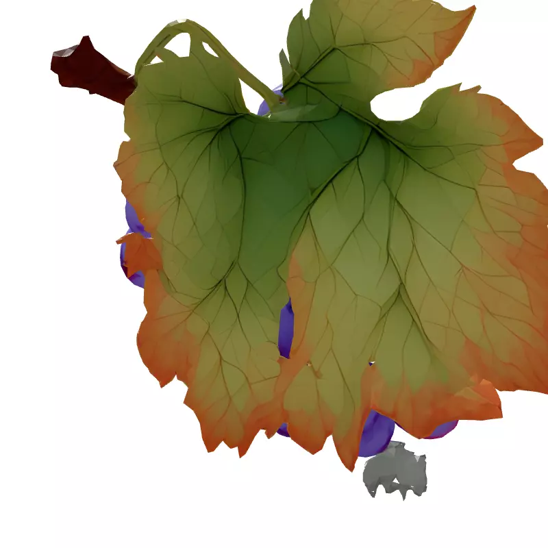 Realistic Red Grape Bunch 3D Model Low-poly 3D model_7