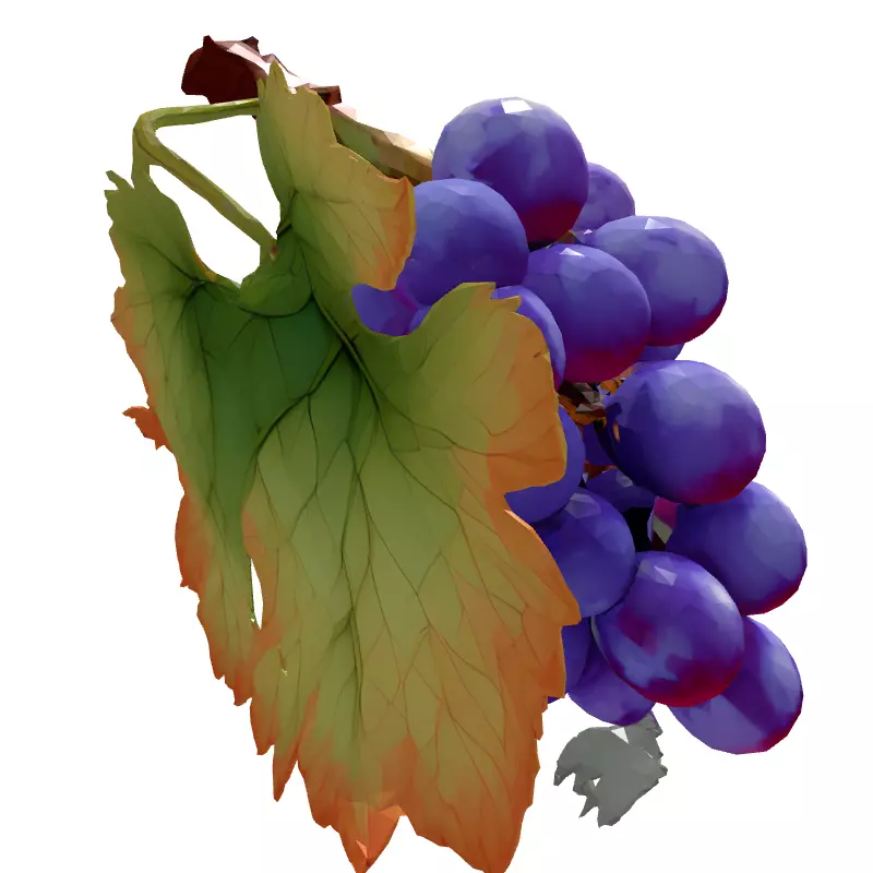 Realistic Red Grape Bunch 3D Model Low-poly 3D model_6