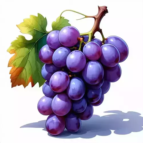 Realistic Red Grape Bunch 3D Model Low-poly 3D model Realistic Red Grape Bunch 3D Model Low-poly 3D model