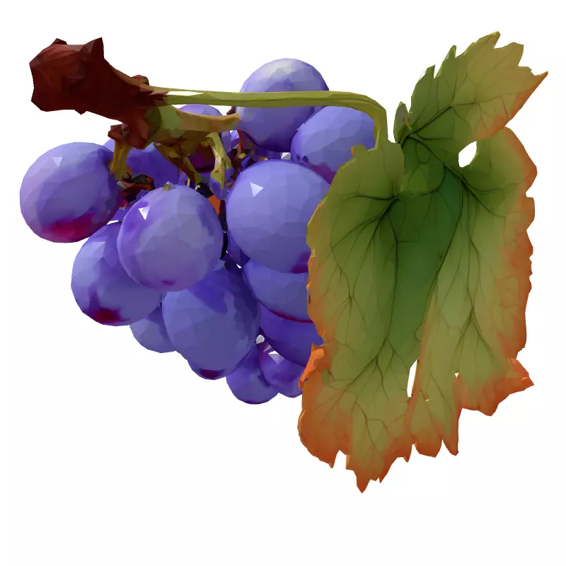 Realistic Red Grape Bunch 3D Model Low-poly 3D model_5