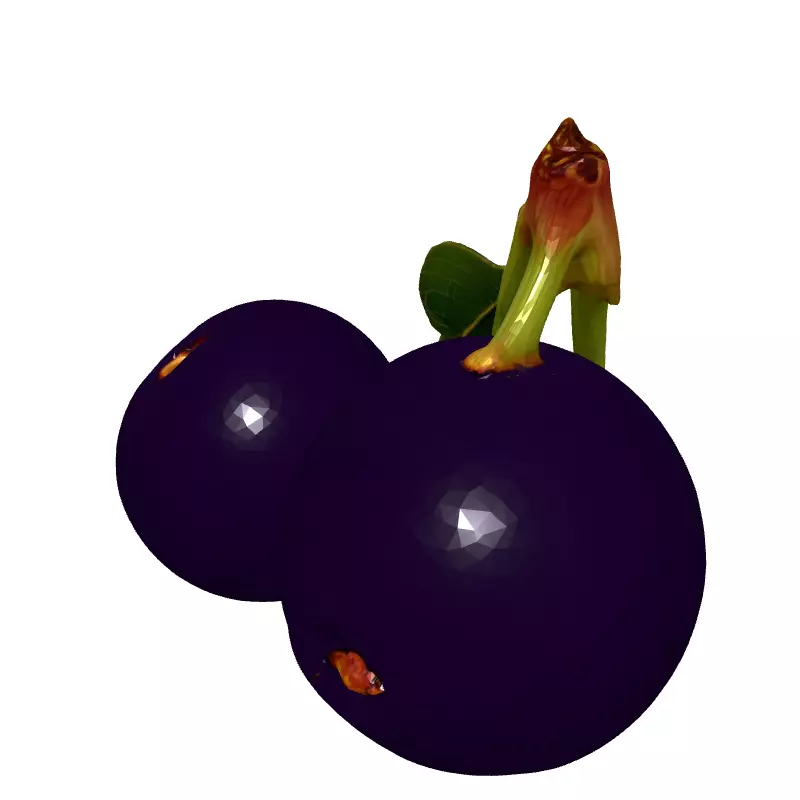 Realistic Jabuticaba Fruit 3D Model Low-poly 3D model_2