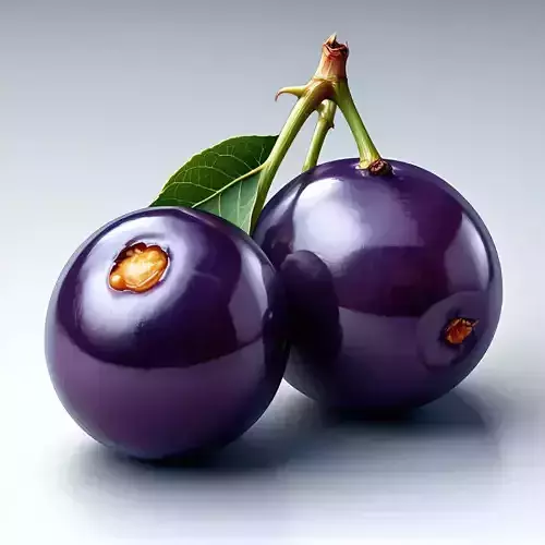 Realistic Jabuticaba Fruit 3D Model Low-poly 3D model Realistic Jabuticaba Fruit 3D Model Low-poly 3D model