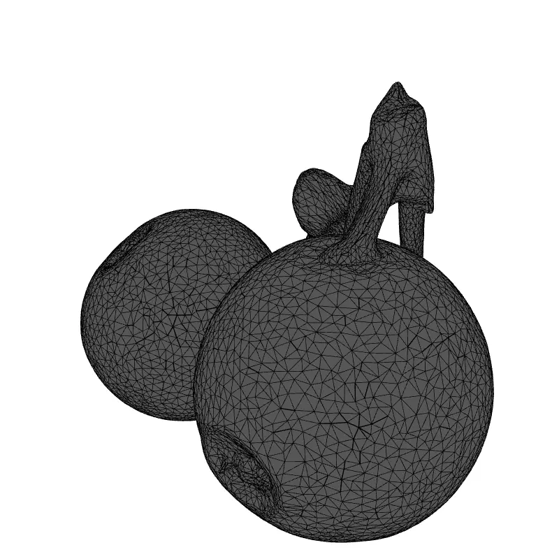 Realistic Jabuticaba Fruit 3D Model Low-poly 3D model_9