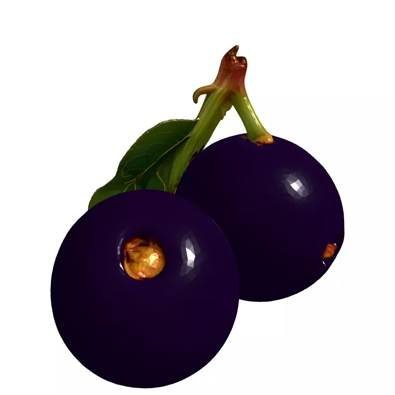 Realistic Jabuticaba Fruit 3D Model Low-poly 3D model_3