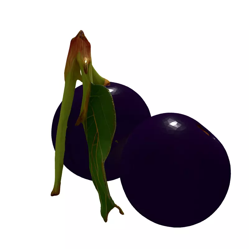 Realistic Jabuticaba Fruit 3D Model Low-poly 3D model_6