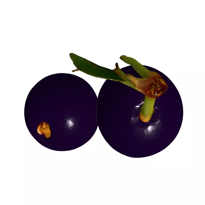 Realistic Jabuticaba Fruit 3D Model Low-poly 3D model_8