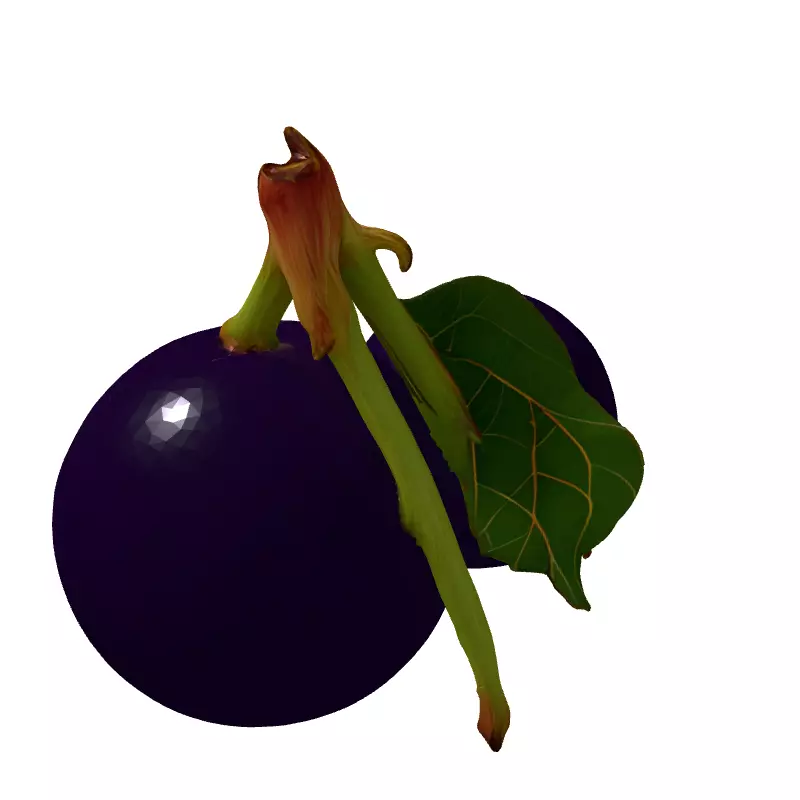 Realistic Jabuticaba Fruit 3D Model Low-poly 3D model_5