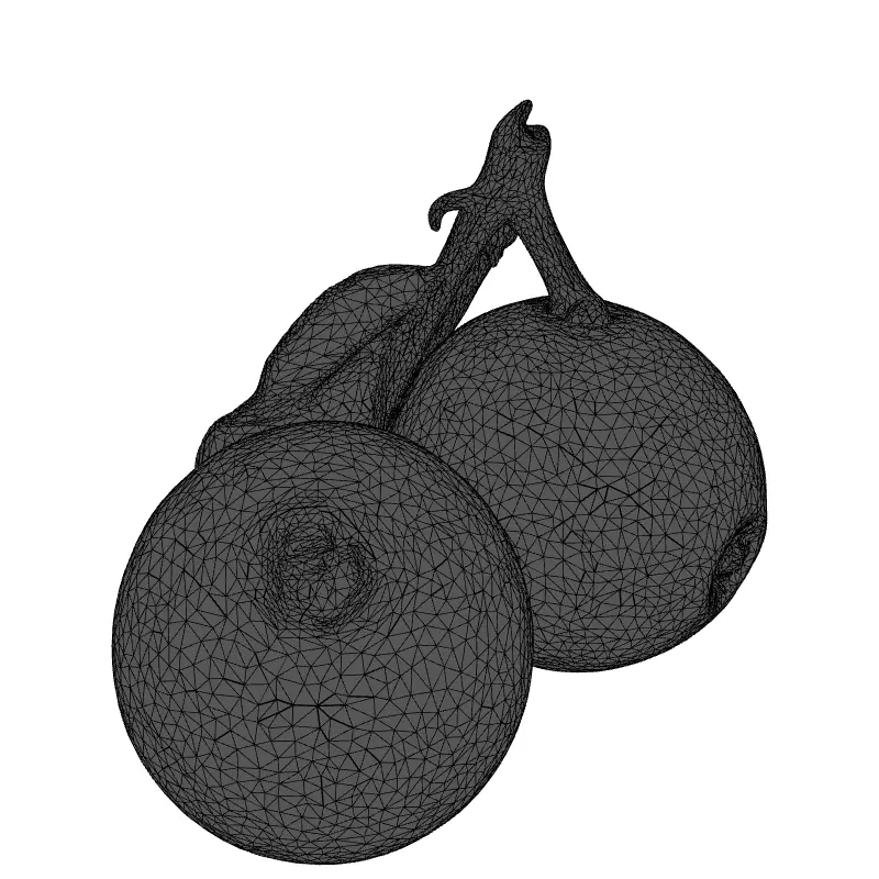 Realistic Jabuticaba Fruit 3D Model Low-poly 3D model_1