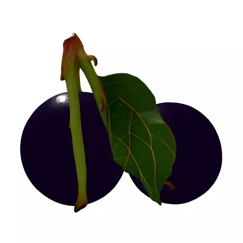 Realistic Jabuticaba Fruit 3D Model Low-poly 3D model_7