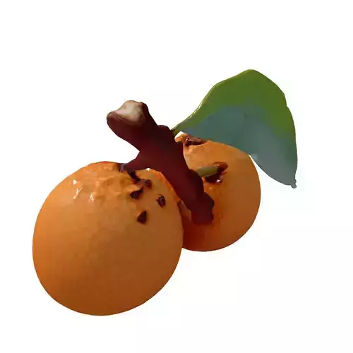 Realistic Lychee Fruit 3D Model Low-poly 3D model 6