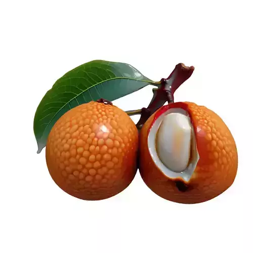 Realistic Lychee Fruit 3D Model Low-poly 3D model 5