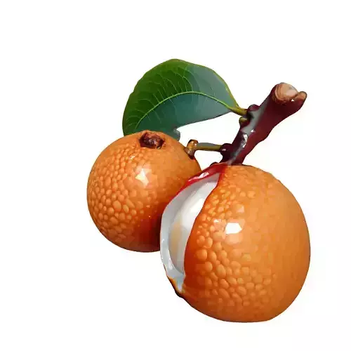Realistic Lychee Fruit 3D Model Low-poly 3D model 3
