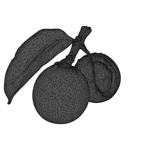 Realistic Lychee Fruit 3D Model Low-poly 3D model 2