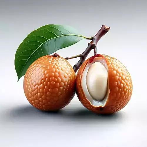 Realistic Lychee Fruit 3D Model Low-poly 3D model