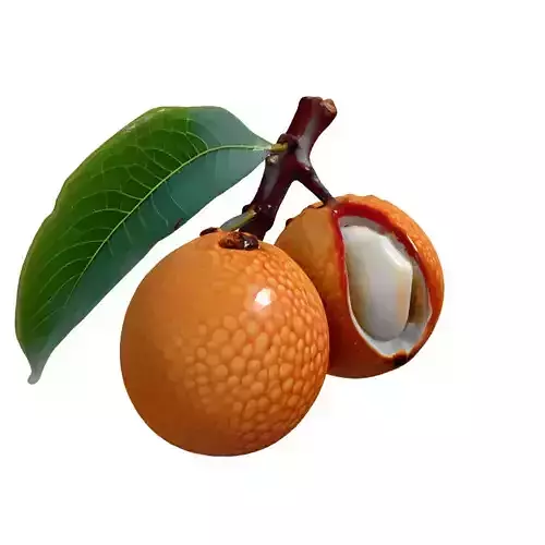 Realistic Lychee Fruit 3D Model Low-poly 3D model 4