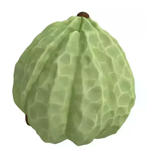 Realistic Cherimoya 3D Model Low-poly 3D model 4