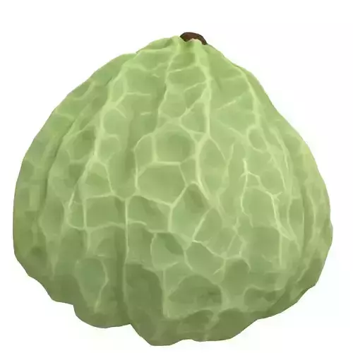 Realistic Cherimoya 3D Model Low-poly 3D model 5