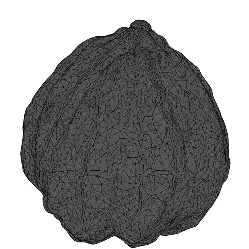 Realistic Cherimoya 3D Model Low-poly 3D model 2