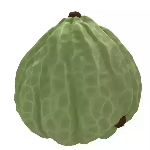 Realistic Cherimoya 3D Model Low-poly 3D model 7