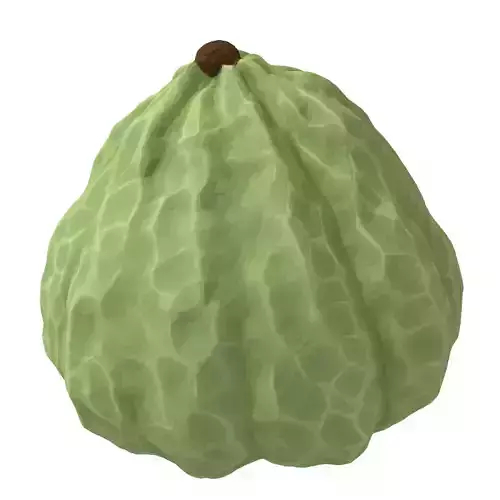 Realistic Cherimoya 3D Model Low-poly 3D model 6