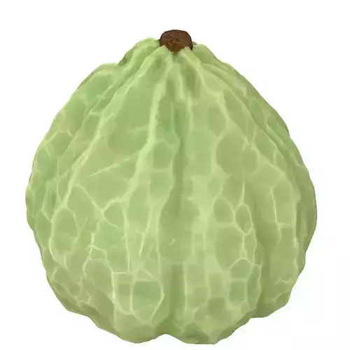 Realistic Cherimoya 3D Model Low-poly 3D model 3