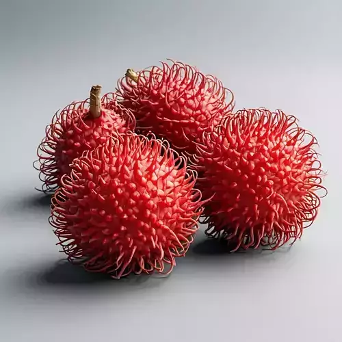 Realistic Rambutan Fruit 3D Model Low-poly 3D model